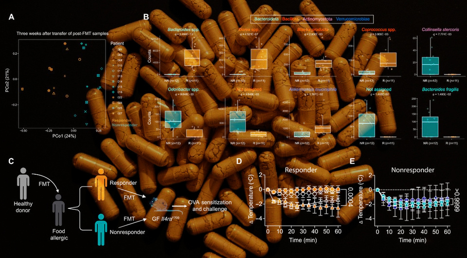 dc69823ba1e4de231e3be38b7189f677.jpg