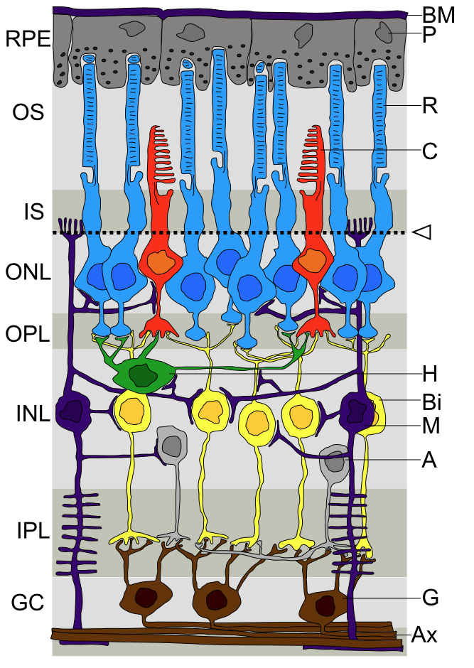 808be45fe69d68b8d33813748960eeb2.png