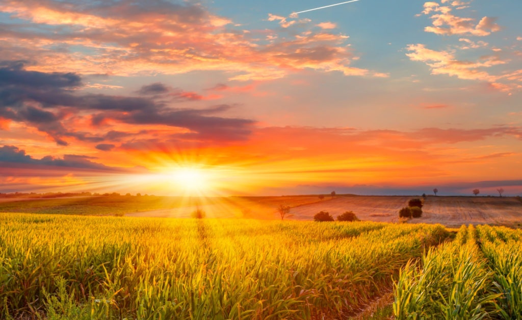 HiRes_ShutterStock_Fotodom.ru_shutterstock_570757069-1024x627.jpg