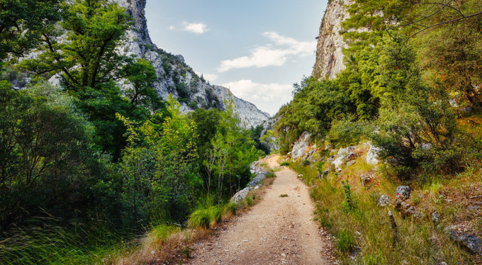 Не та тропинка: необъяснимая история