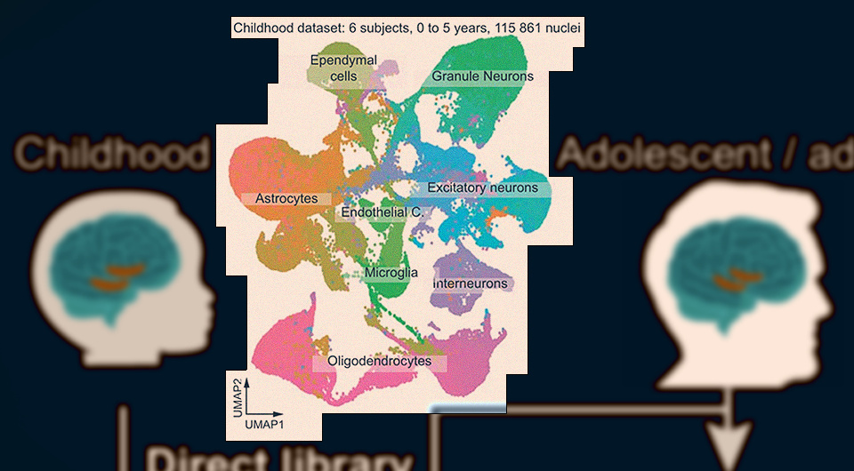5aaf7a1a2887e8943a30c5f8fa34c084.png