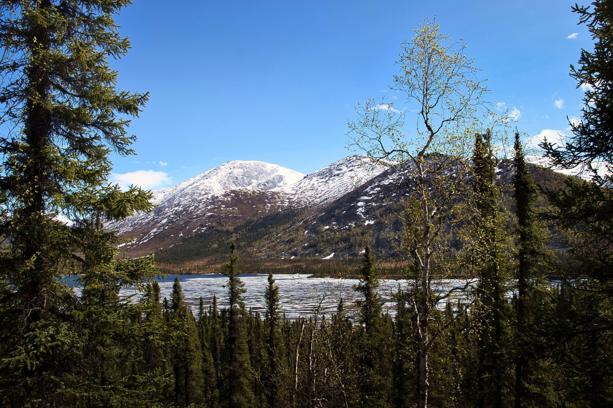 Аляска, вид на озеро и горы