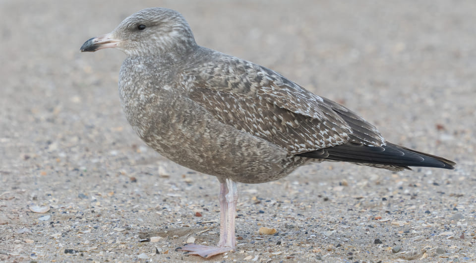 c1d0b8c1a074336affcdd87fc697c6b6.jpg