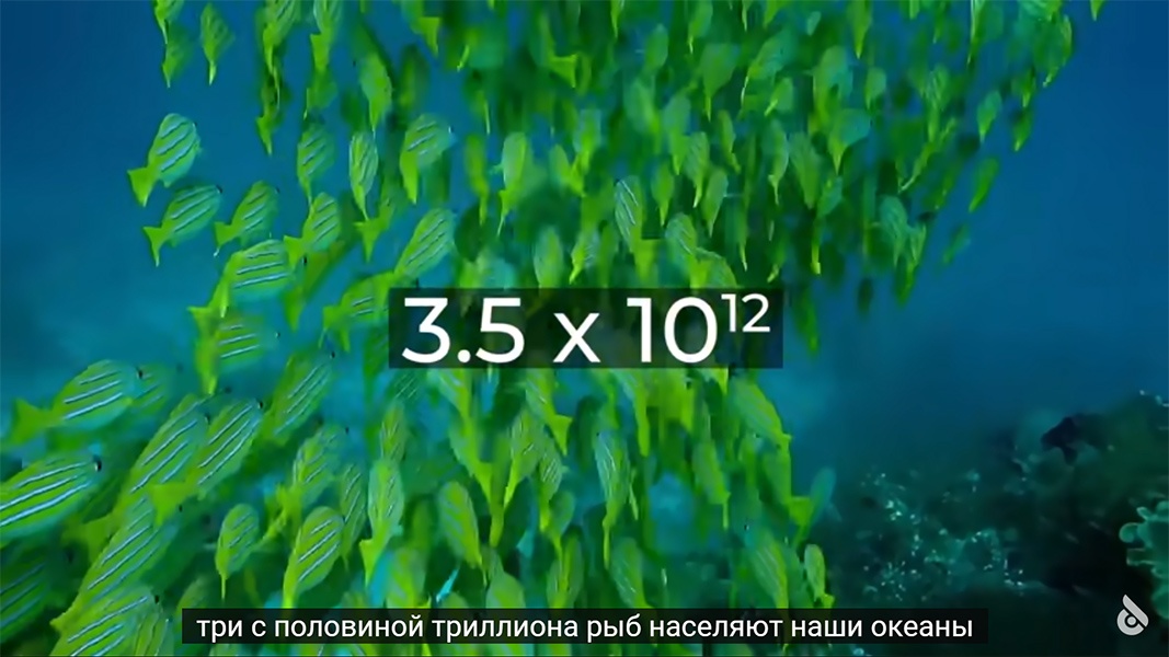 1067x600_0xac120003_5759996281596189921.jpg
