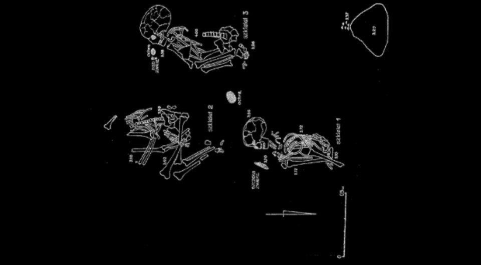 1f4a350306b166f73ad321129e38bee4.png