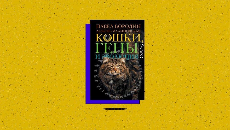 a7968a5978d4efbd77011dd5206f7991.png