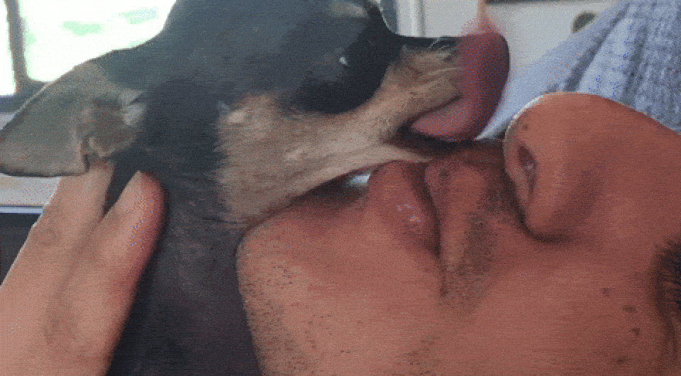6845175ea60e8092f192db0bfdf90212.gif