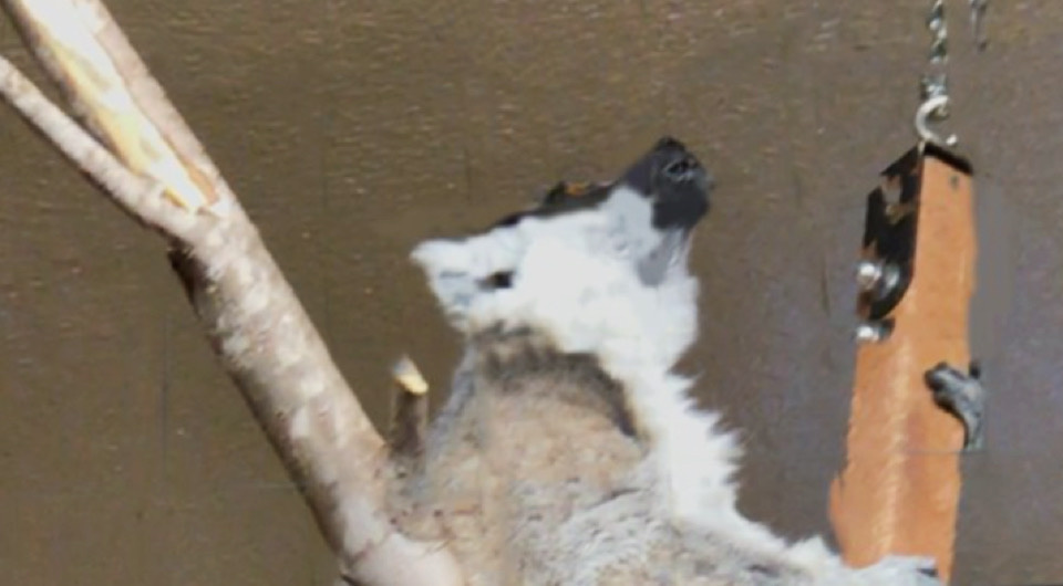 54bd8484661520225ccfd51365fe21cf.jpeg