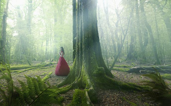 Популярные мифы о психотерапии Популярные мифы о психотерапии