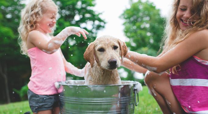 Похудеть без тренировок: 5 лайфхаков Похудеть без тренировок: 5 лайфхаков
