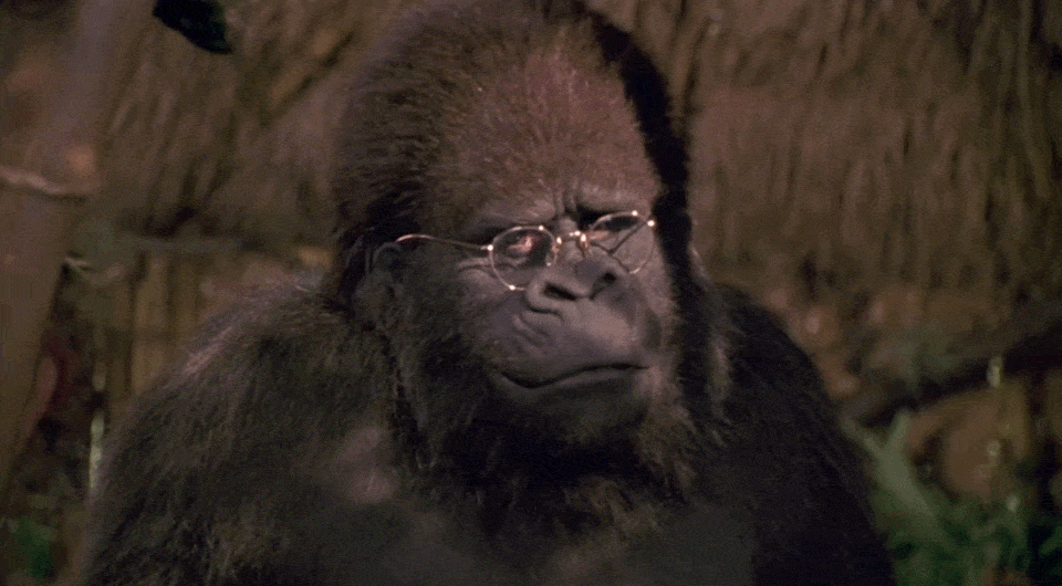 6ae246226d77d1722bc66891d685b9d8.gif
