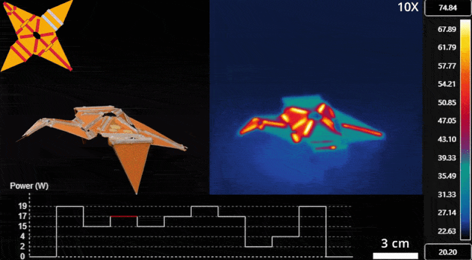2aa4d66a6f714b5354d888af71cb1276.gif