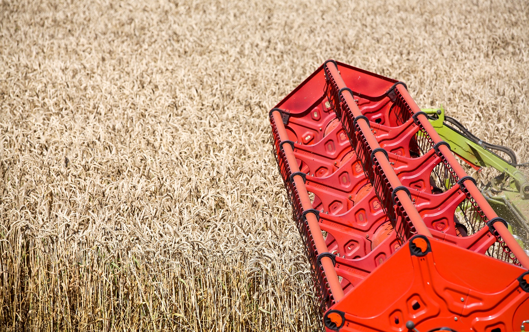 1-gettyimages-543412926.jpg__1537777465__74983.jpg