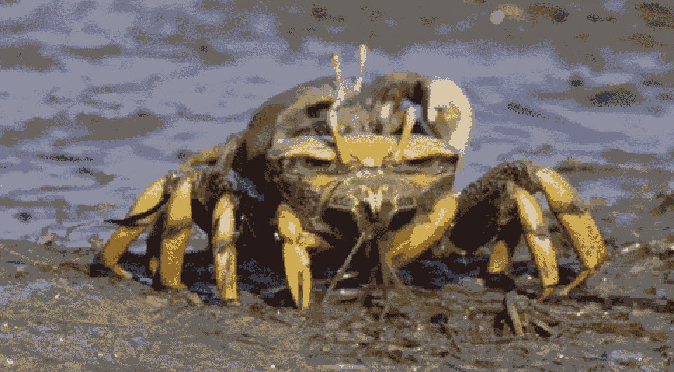 7fabd528e230bfafa8a634dedf9710ea.gif