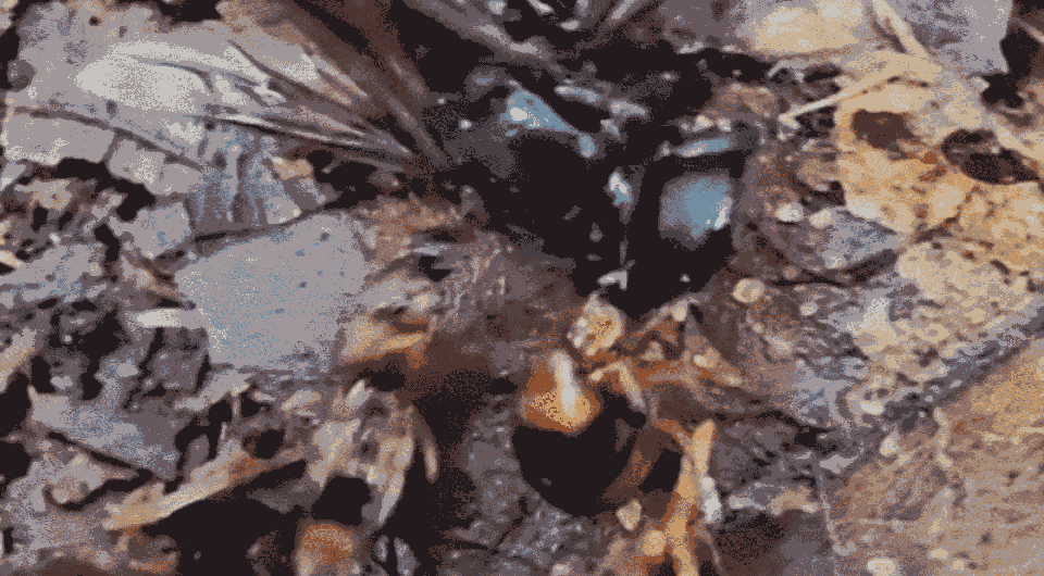 49de9c3c287420aa9f611d6a7fdaa1a6.gif