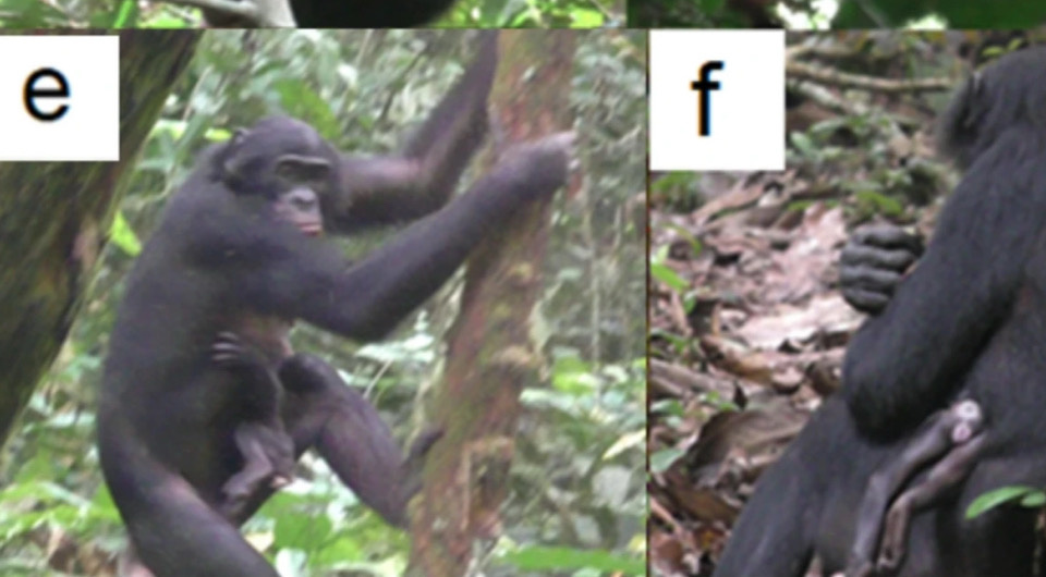 4e722affe92eb7aef20e58bbd55e9166.jpeg