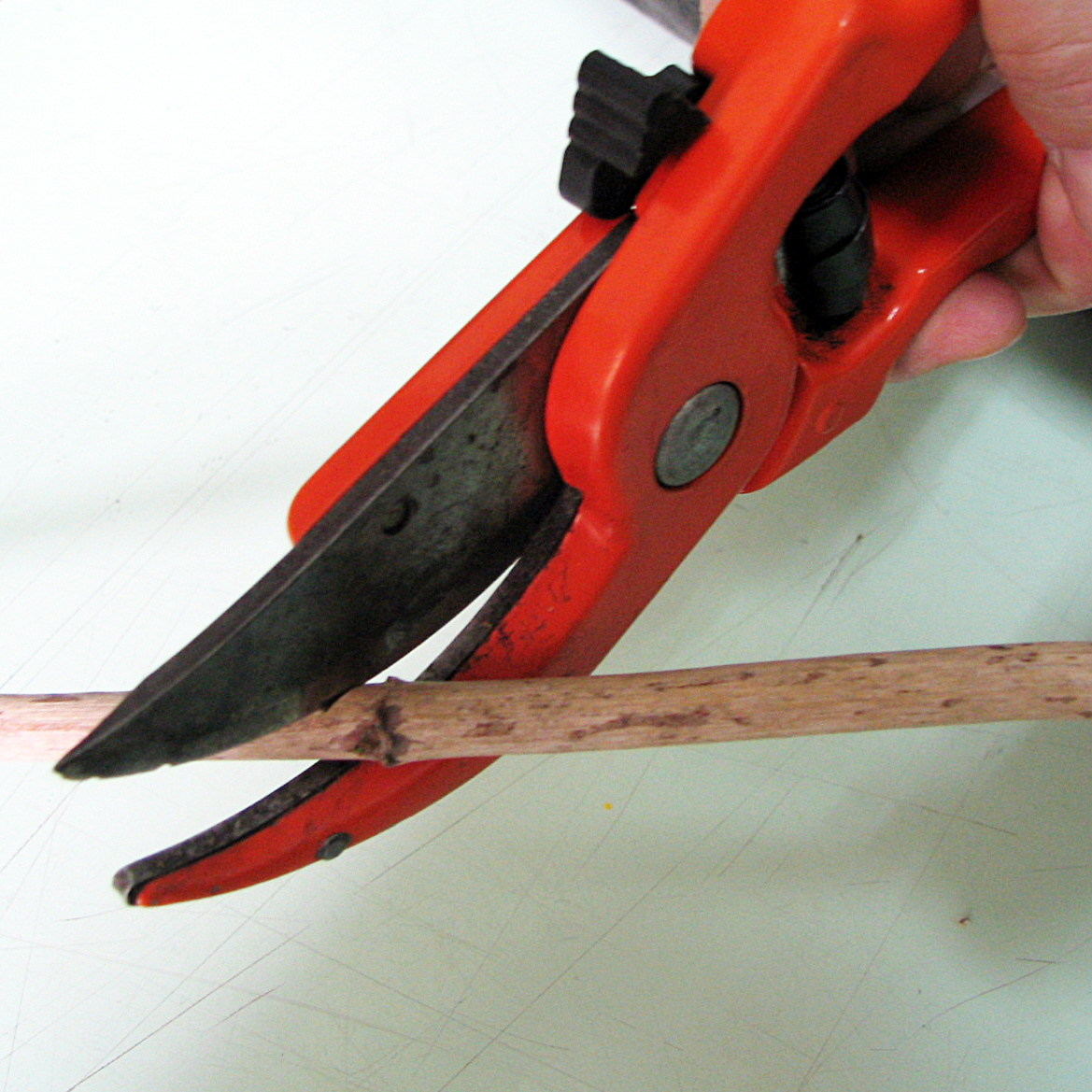 обводной секатор