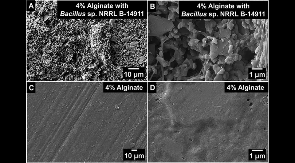 f268569fdf5300b18a53e8ee648db349.jpeg