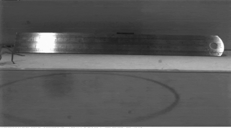 d7734a83225d24b925fd52c66e817967.gif