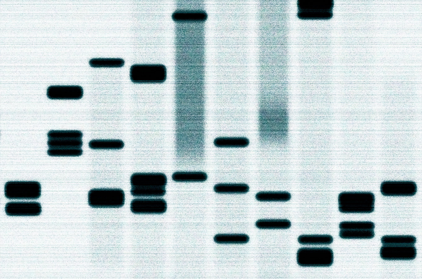 dna_Oblozhka-1.jpg