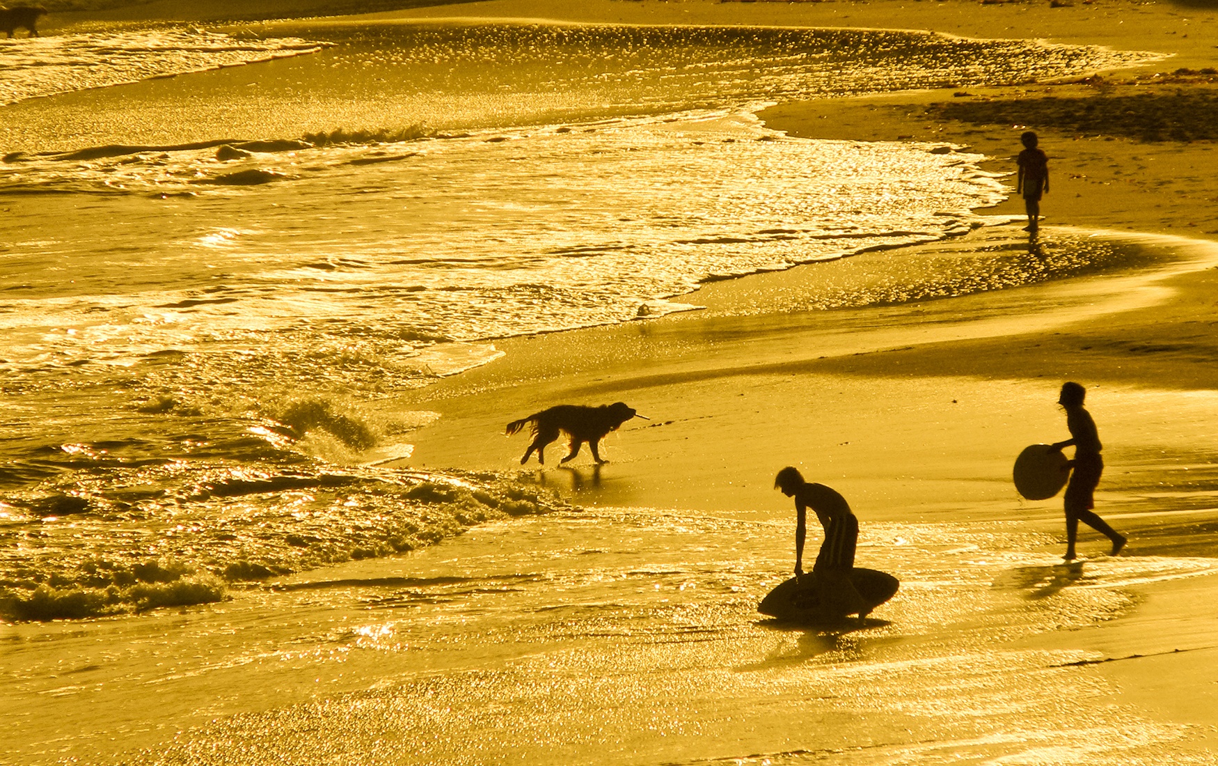 1-gettyimages-495788639.jpg__1539330981__98799.jpg