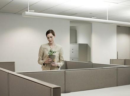 Увидеть влияние семейной истории... на работу