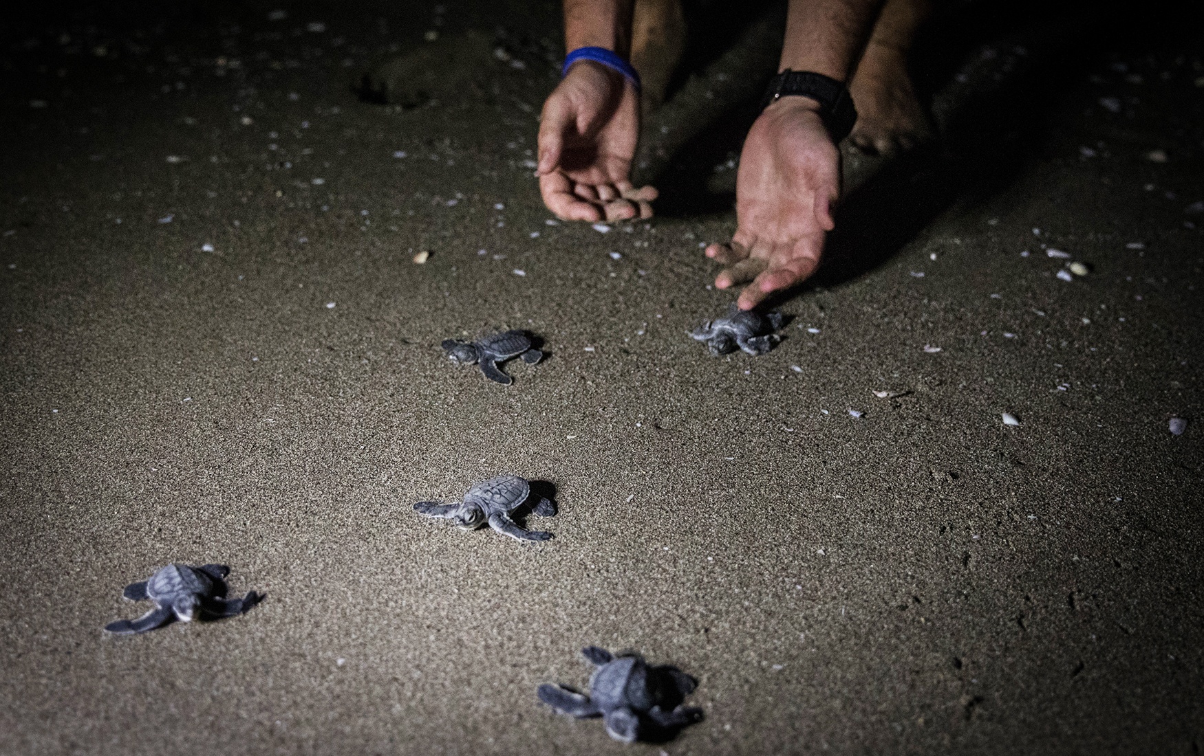 1-gettyimages-1022553826.jpg__1537800903__43240.jpg