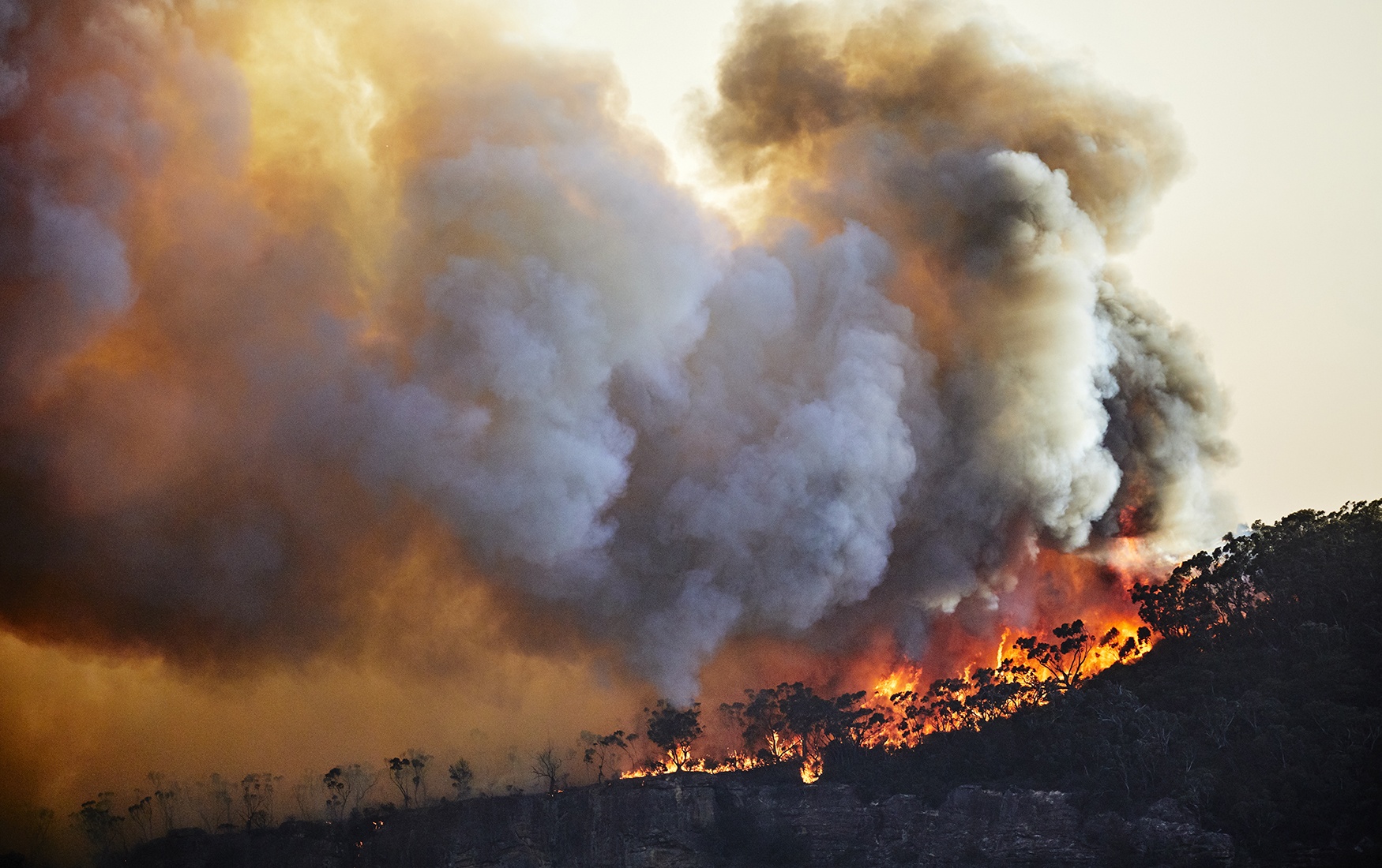 gettyimages-1192659783.jpg__1579287432__80559.jpg