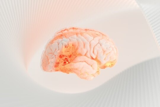 00c6d35e5cebd3c62a8d4cf269f60653_ce_540x360x50x0.jpg