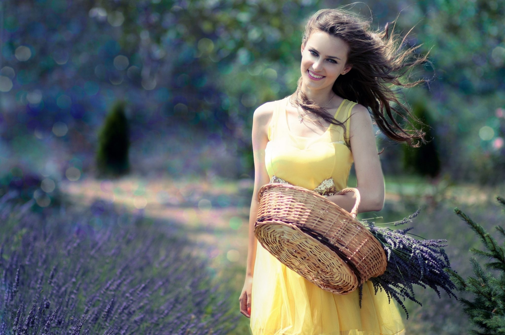 basket-beautiful-beauty-160555.jpg