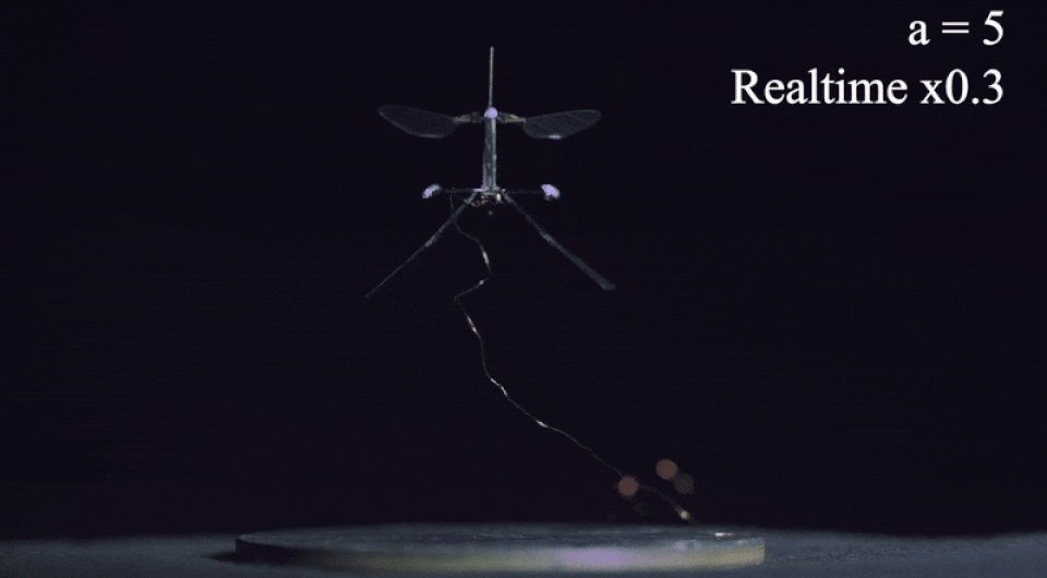 0b73d4ab7558687580000bbb1e1a730e.gif