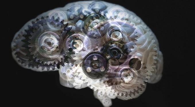 20 способов держать мозг в тонусе 20 способов держать мозг в тонусе