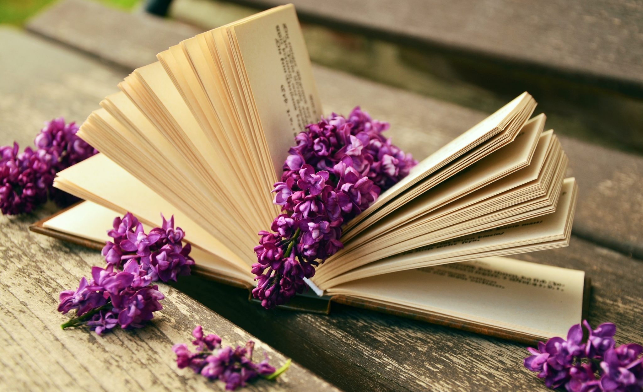 bloom-blossom-book-36428.jpg