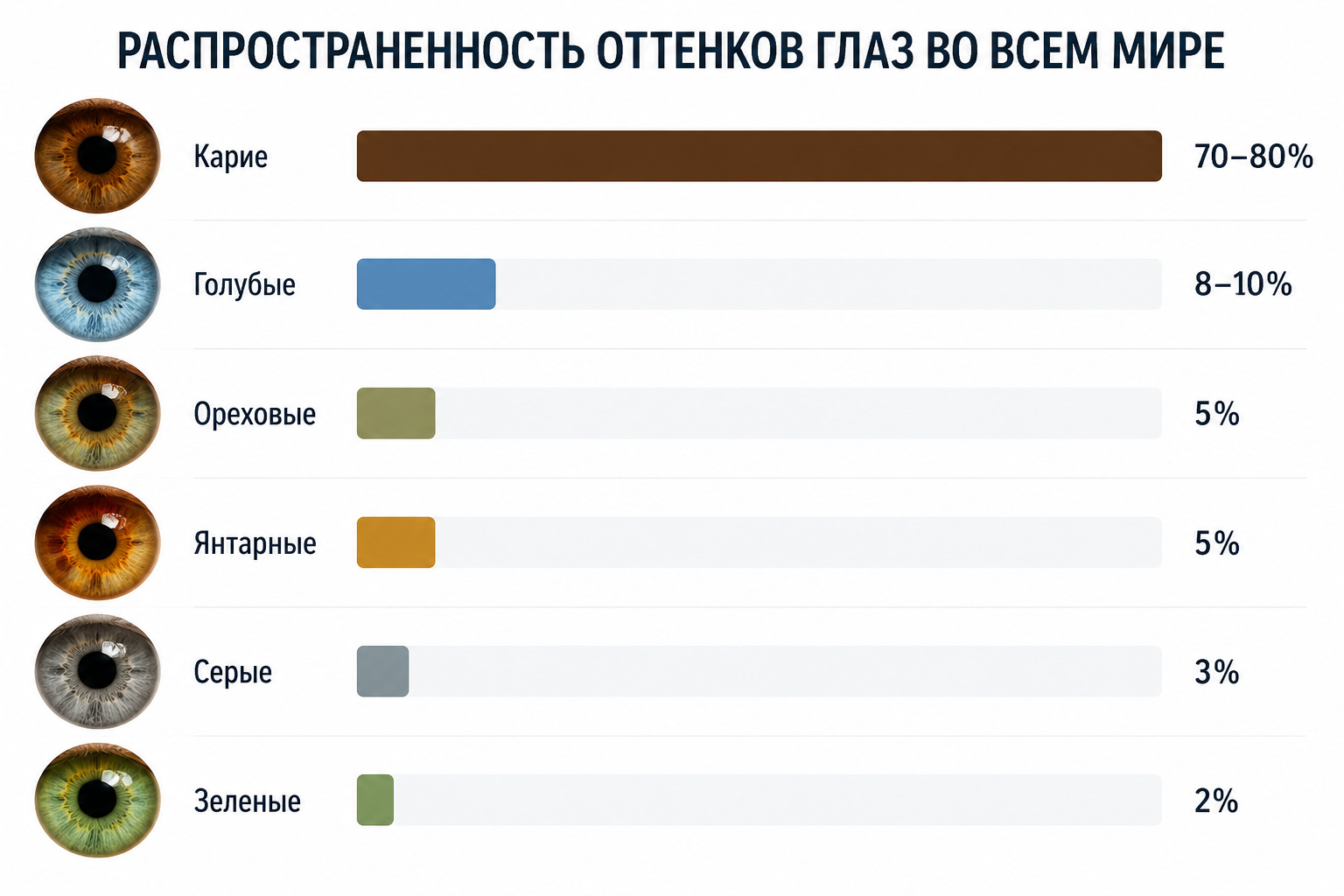 5ef9a05cf97979c9451de88f61992827_ce_1536x1024x0x0.png