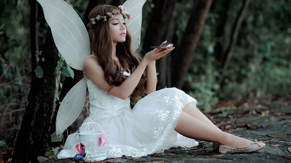 widen_930_crop_4896_2754_0_255_558252_2dd54a3ebb.jpeg