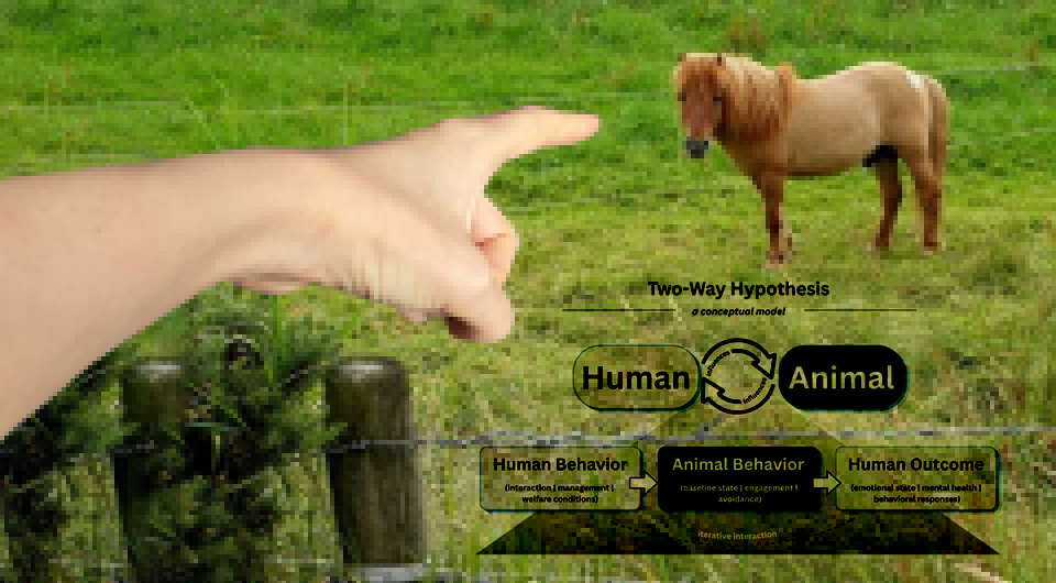 75f6e2b3c15b55b21630629ae9e94340.png