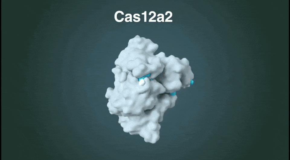 80ec004b962b2697d678c1b1c609adde.gif