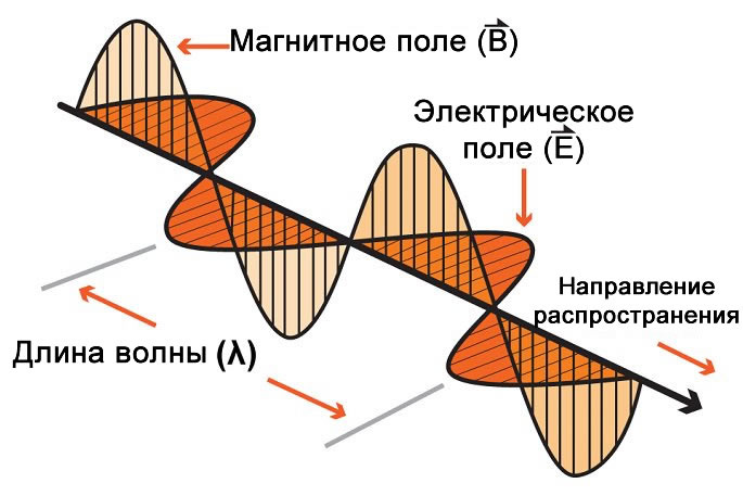 Электрическая и магнитная компоненты электромагнитной волны