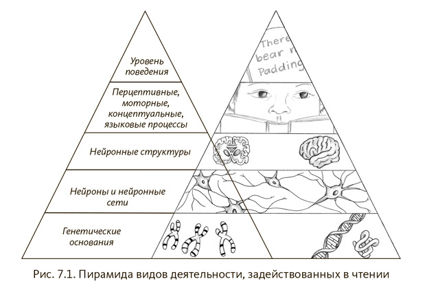 e29080ba4594bf64547d50de4841141c2ad3c644932587fd540d6356c1eec09e.jpg