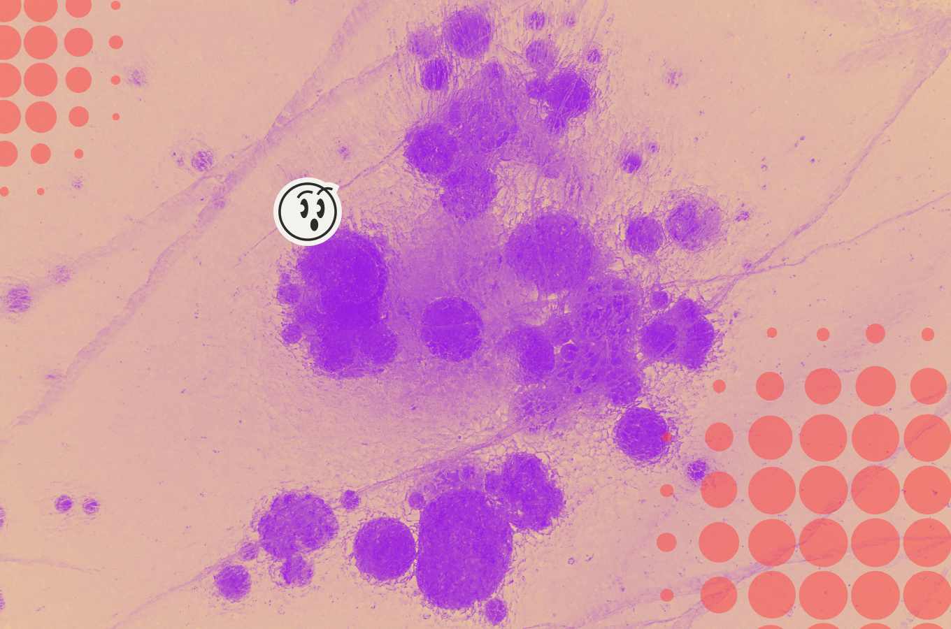 1360-x-900_organoidnyj-intellekt.jpg