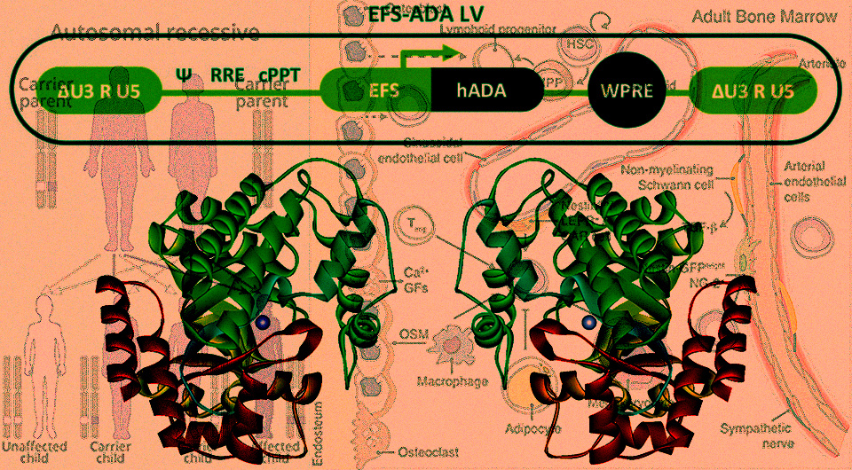 6f3bfeedb2002bf59261b3c3a6f7fd7a.jpg