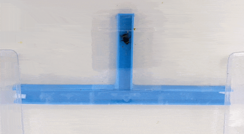 6f786d2bd8fb9204628c3564c7ba4315.gif