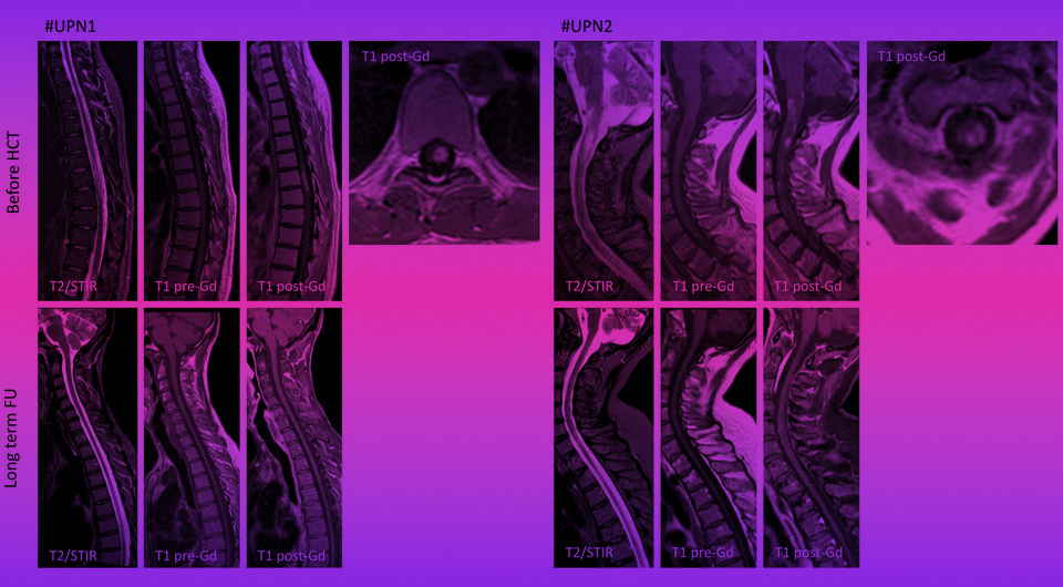 e4f8495183758cf97ce481edc21fa175.jpg