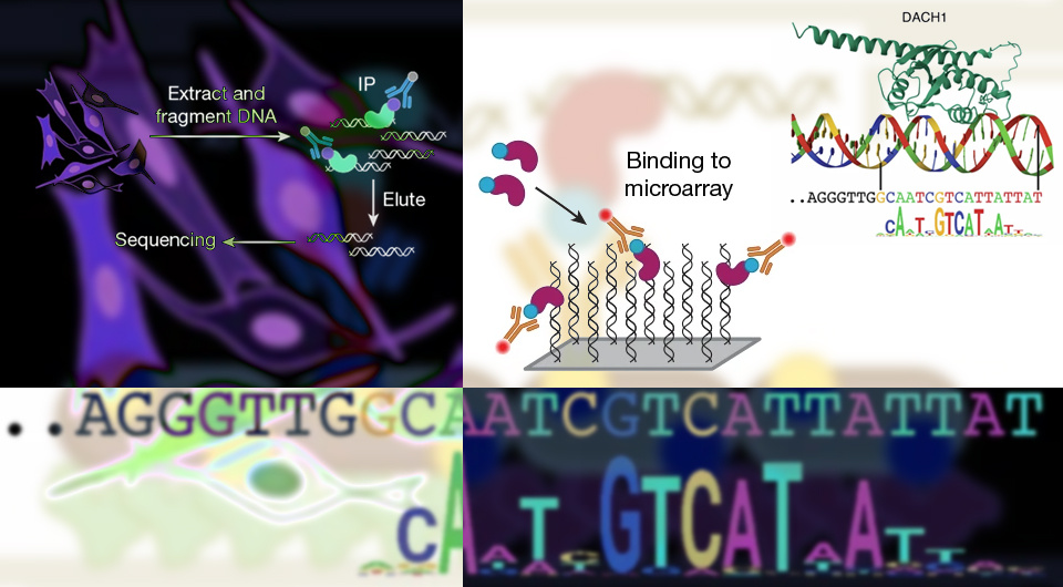 1922cc99beb935e5ec6f6870271938fb.jpg