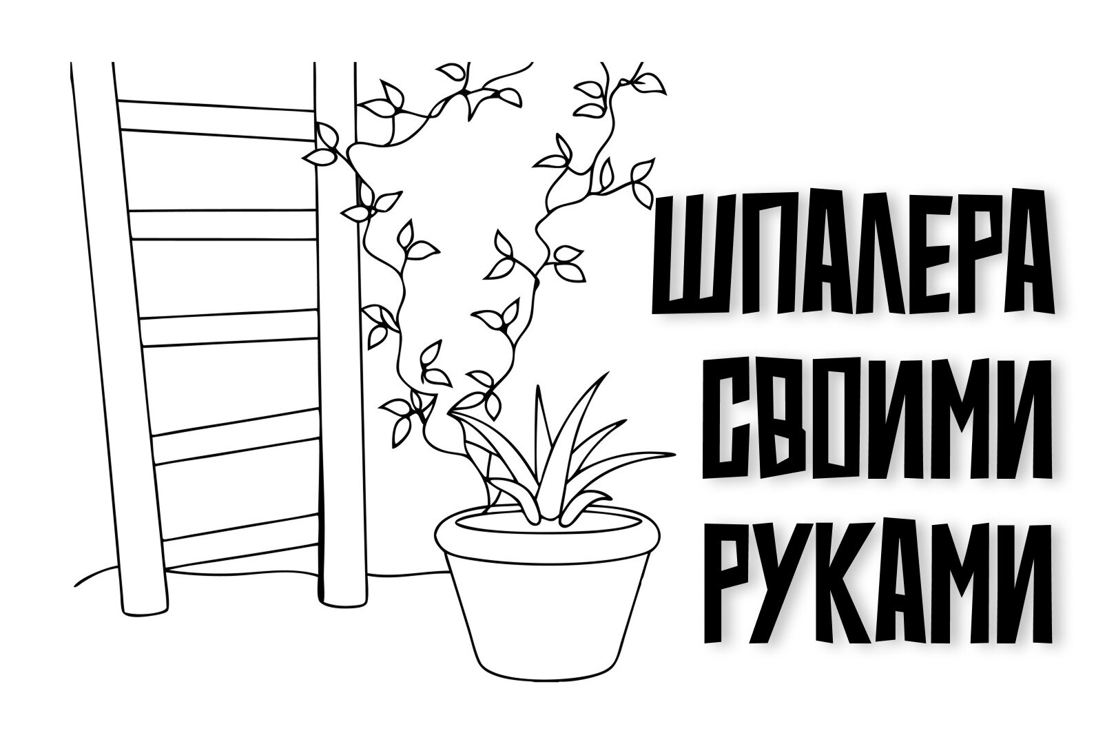 70b5c99f5be7cab74d2633154c196994_ce_1620x1080x58x0.jpg