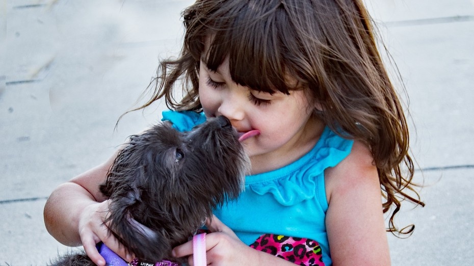 widen_930_crop_3455_1940_0_632_572642_e251ef3133.jpeg
