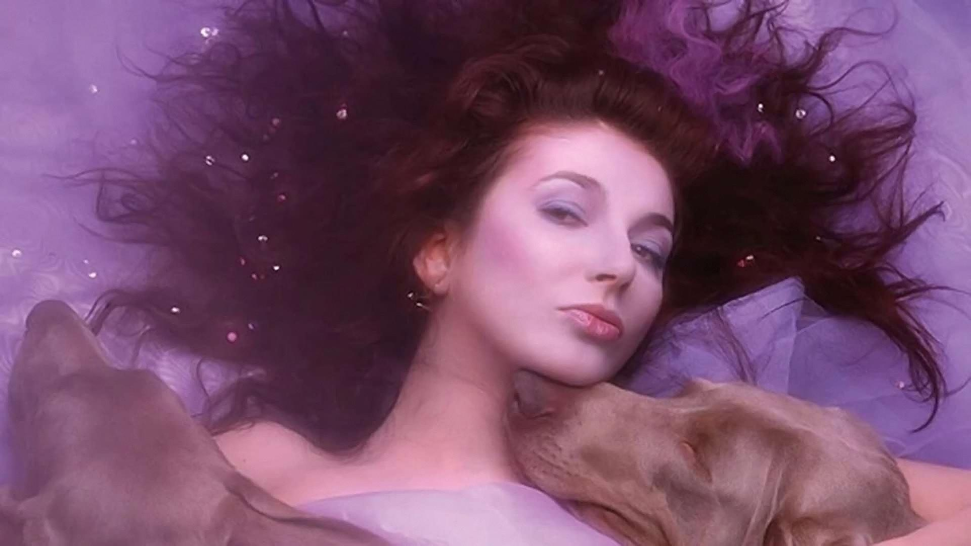 1920x1079_0xac120004_18172860221679663497.jpeg