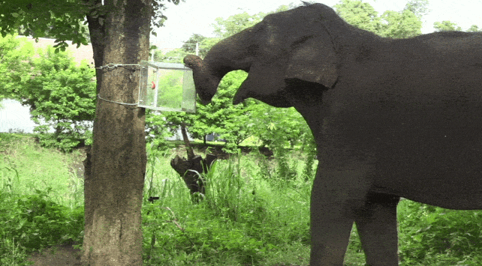 b7a5a48beeca35e6ffb5fb2d15b30650.gif