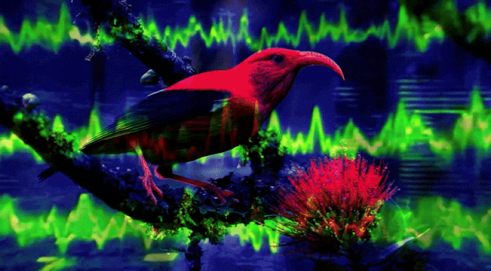 470545365415d914ace2bda17ad7a020.gif