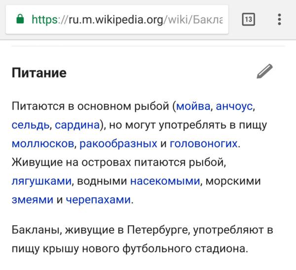 91003-M2RmYTFiY2M4OQ.jpg